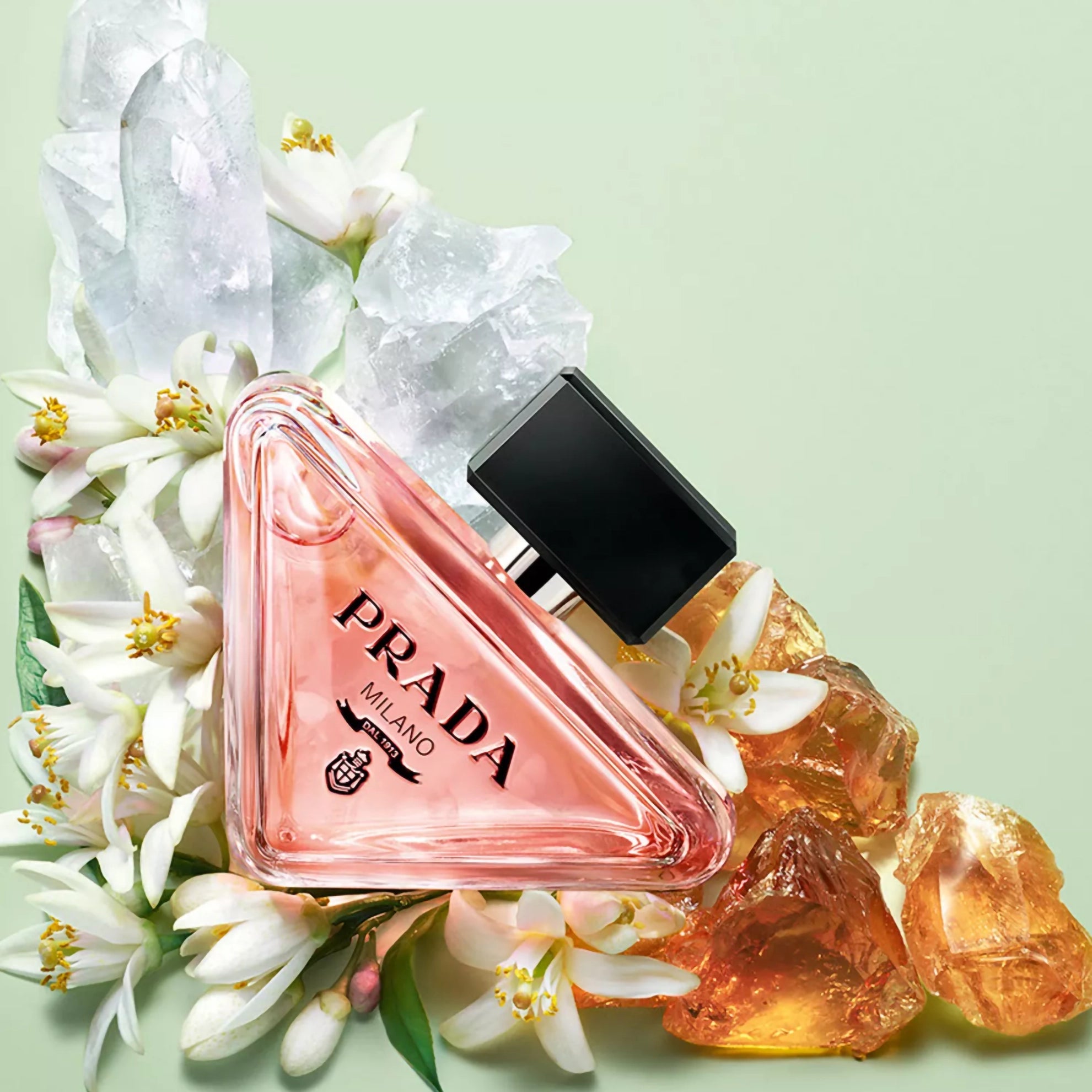 Prada Paradoxe Eau de Parfum 100ml / 3.4 FL.OZ