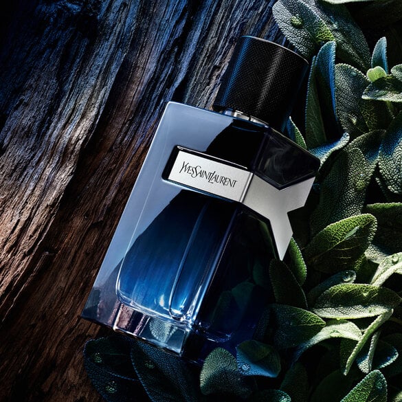 Yves Saint Laurent Men's Y Eau de Parfum 100ml / 3.3 FL.OZ