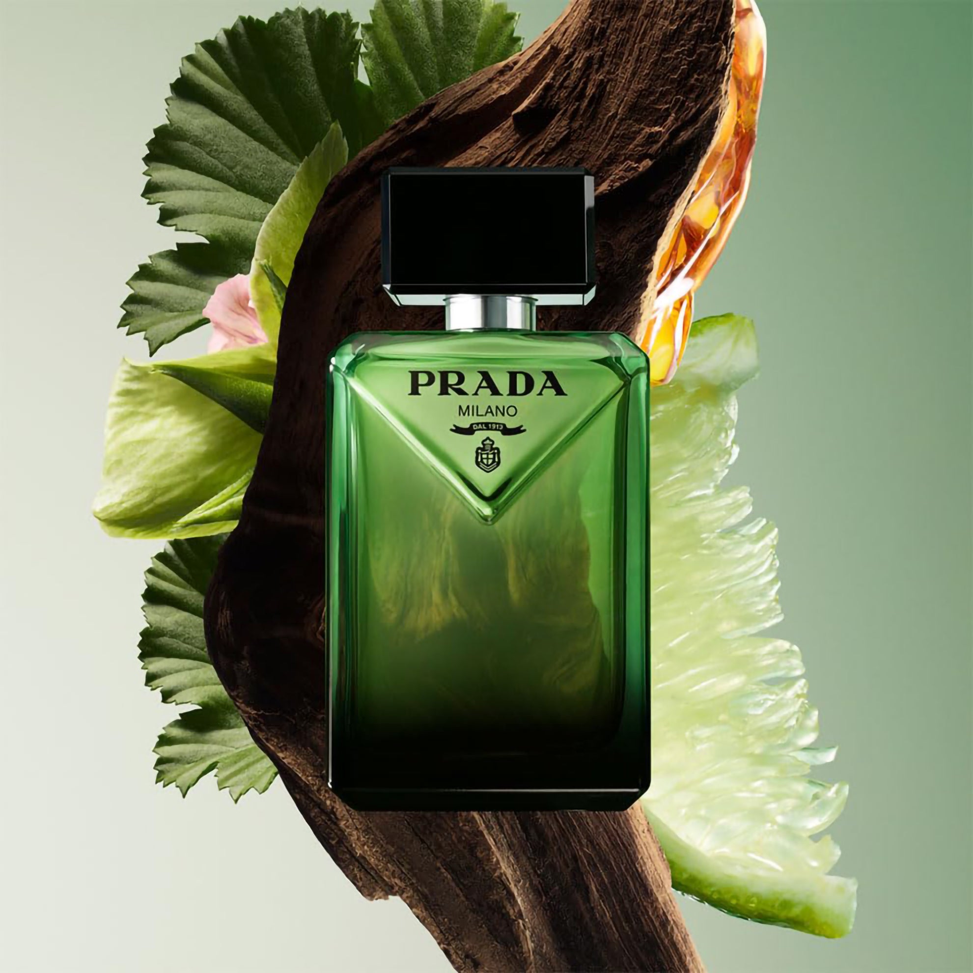 Parad igme Eau De Parfum Spray 100ml / 3.3 FL.OZ