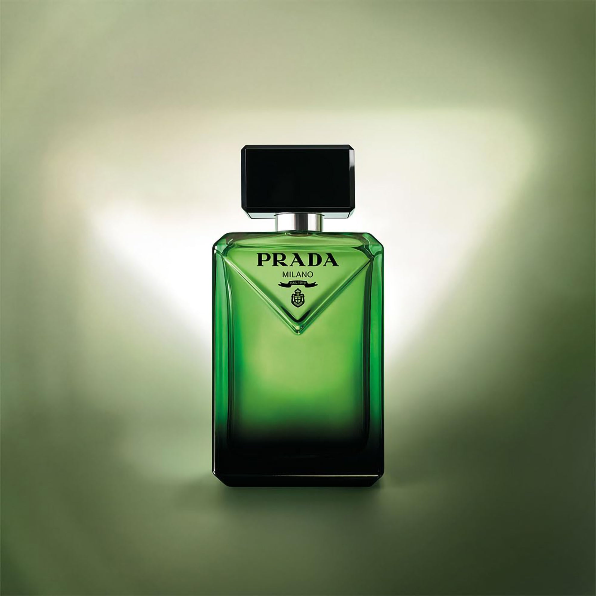 Parad igme Eau De Parfum Spray 100ml / 3.3 FL.OZ