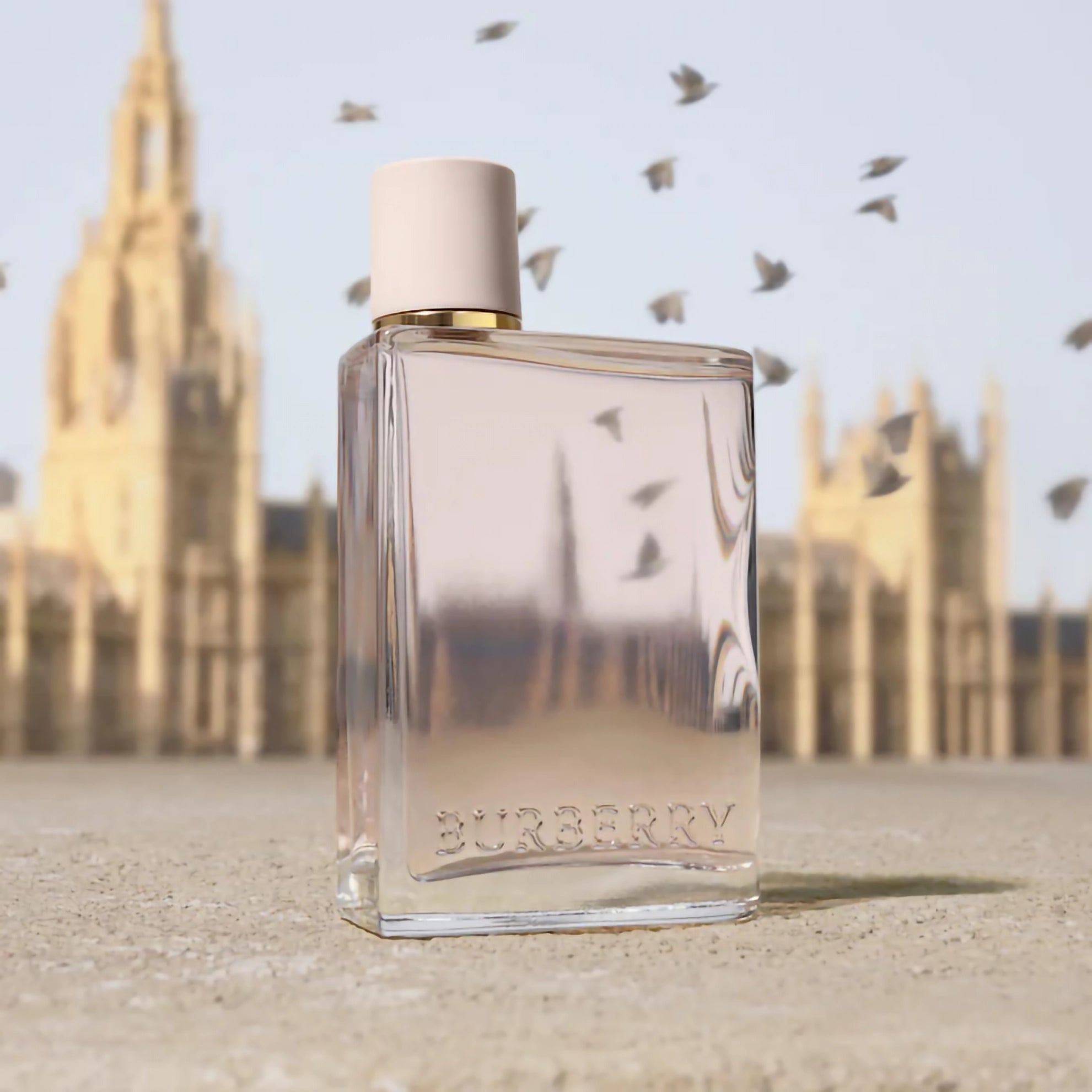 Burberry Her Eau de Parfum 100ml / 3.3 FL.OZ