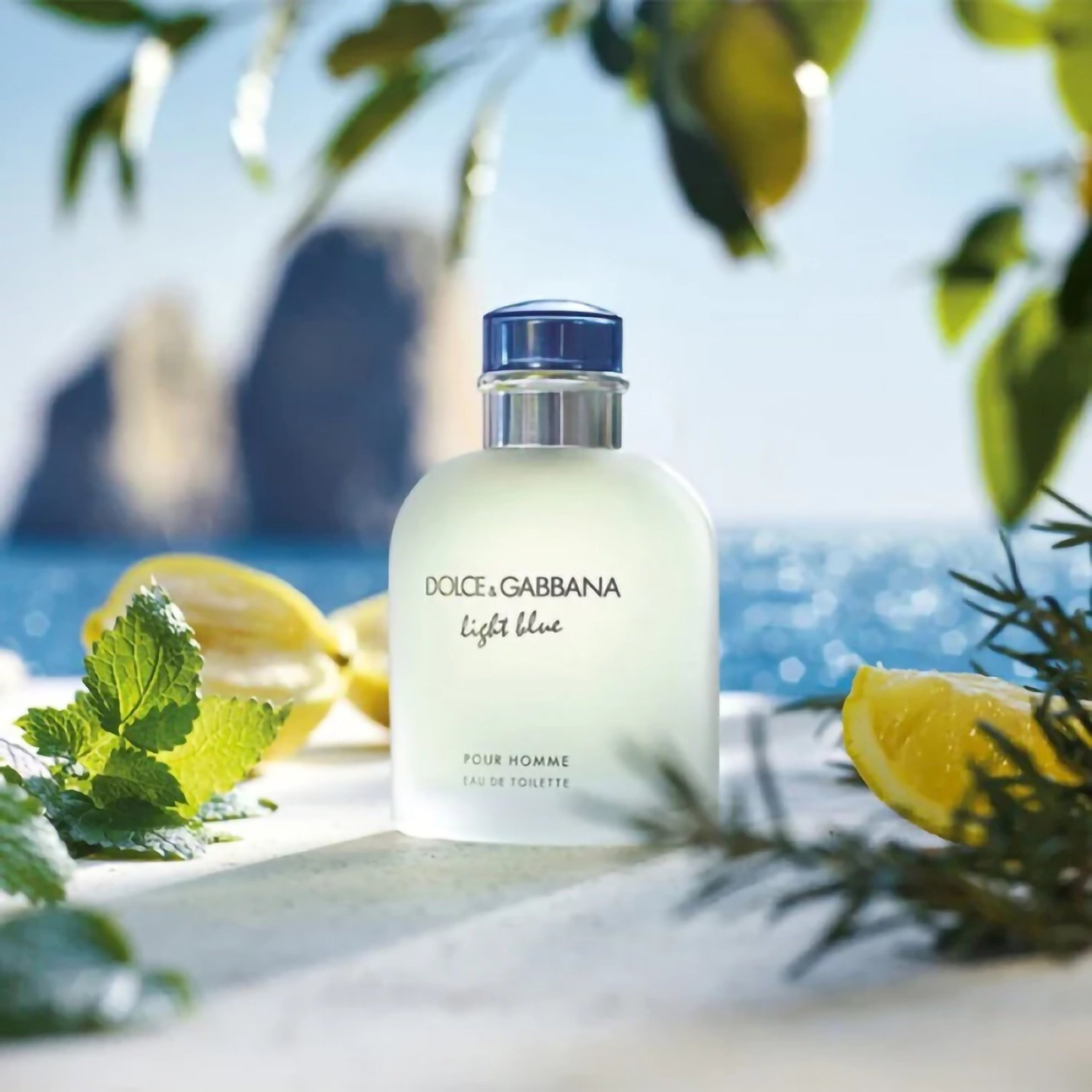 Dolce & Gabbana Light Blue Pour Homme Eau de Toilette 100ml / 3.3 FL.OZ