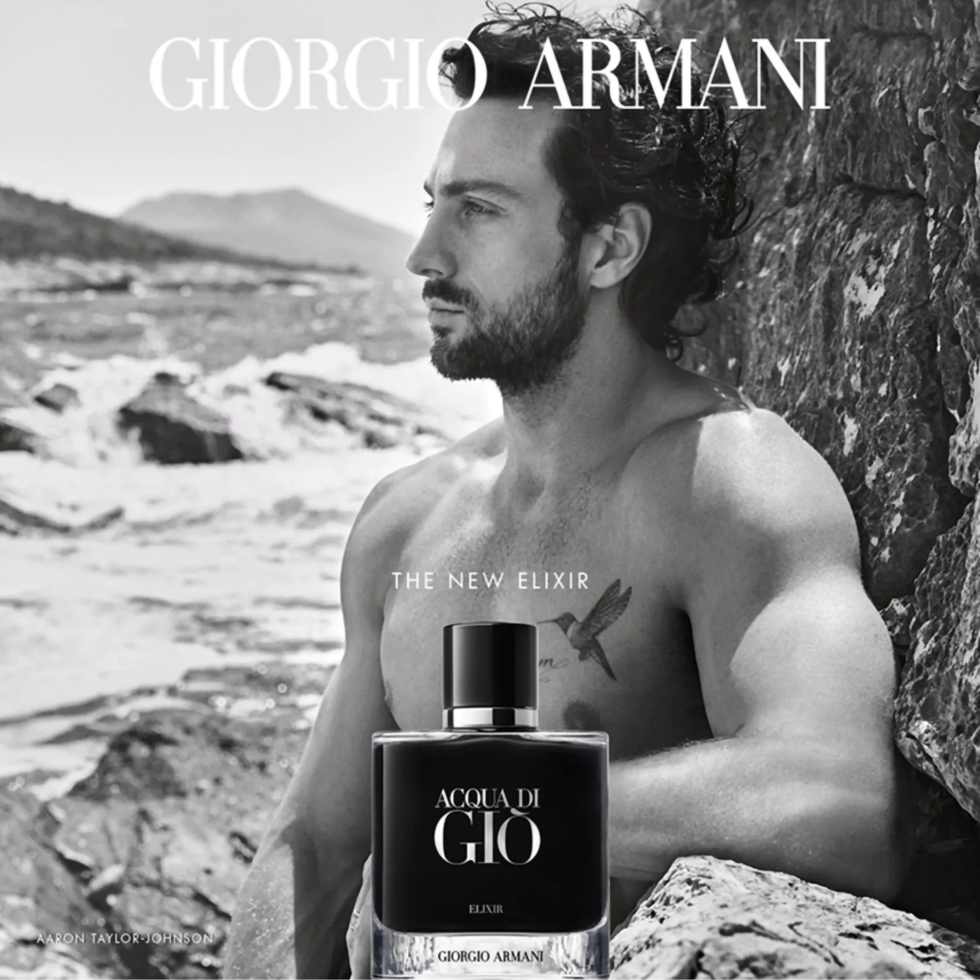 Armani Acqua Di Gio Elixir Parfum 50ml / 1.6 FL.OZ