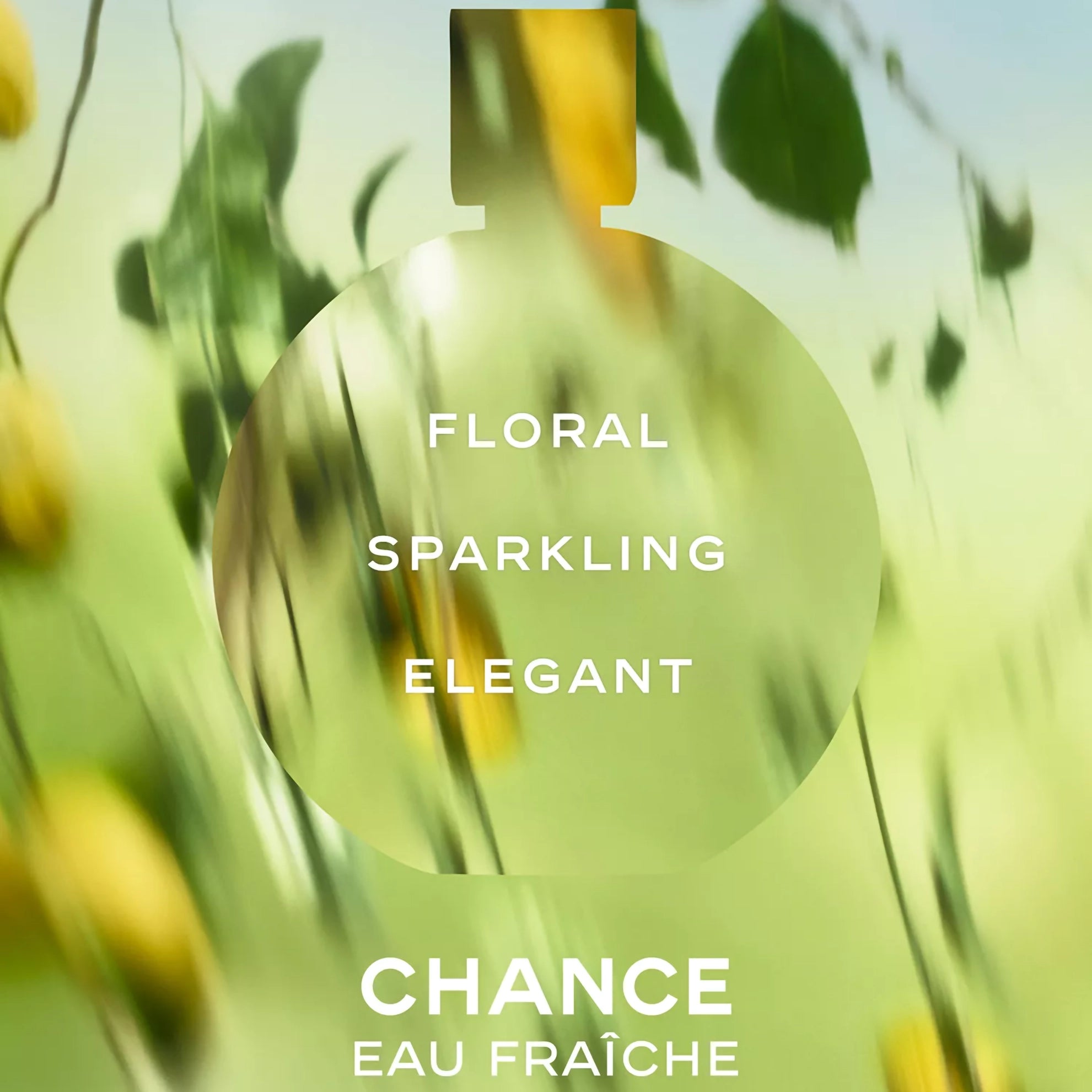 Chanel Chance Eau Fraiche Eau de Parfum Spray 100ml / 3.4 FL.OZ