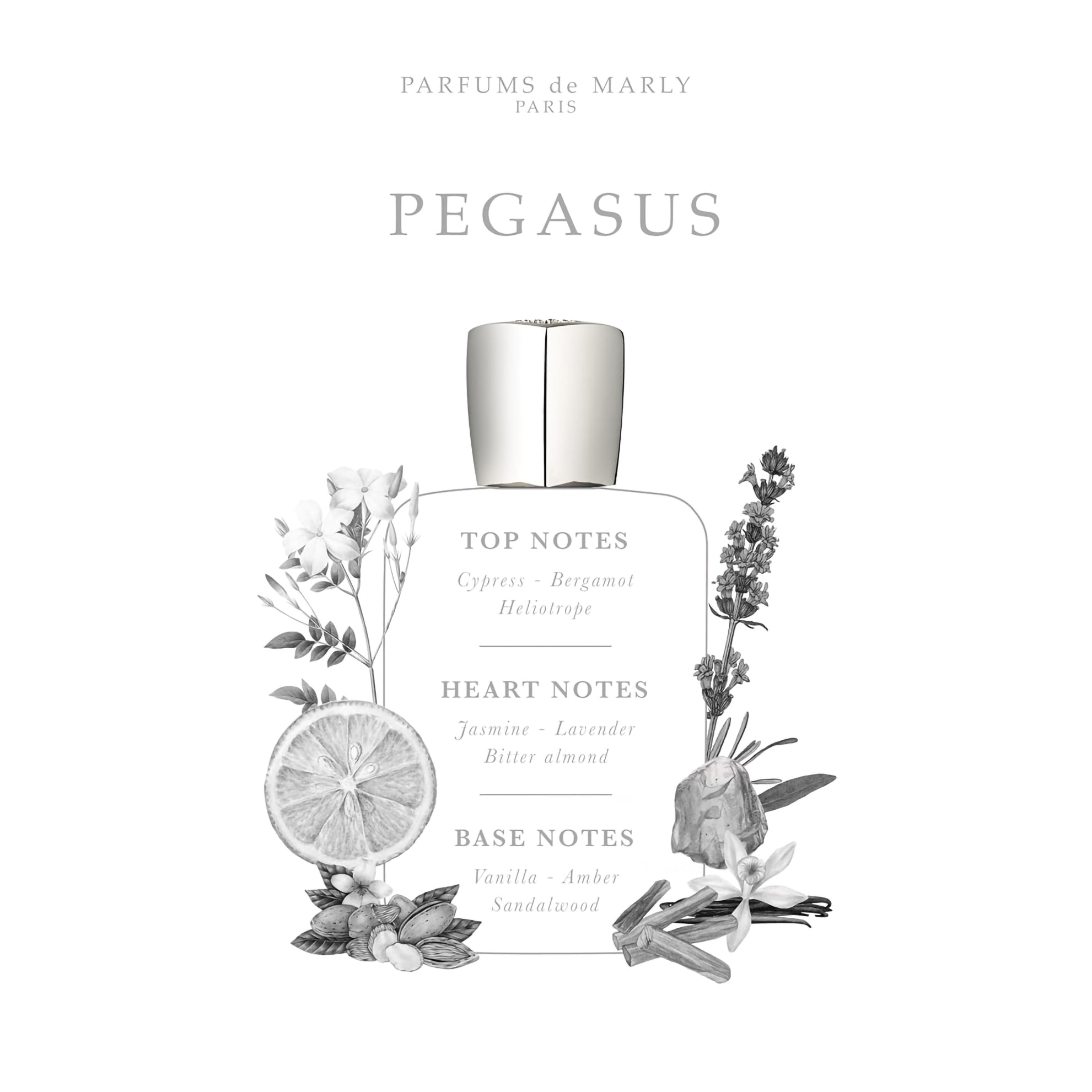 Parfums de Marly Pegasus 125ml / 4.2 FL.OZ