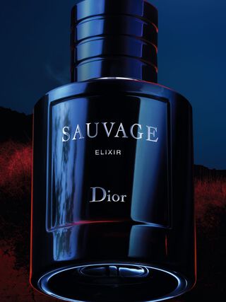 DIOR SAUVAGE ELIXIR SPRAY 100ml / 3.4 FL.OZ