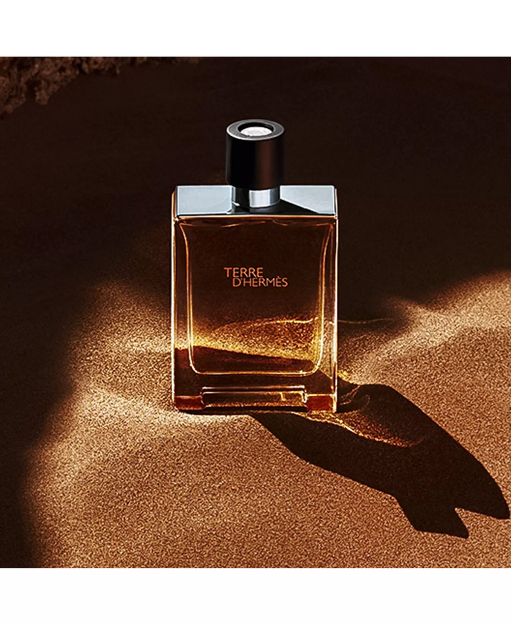 Hermes Terre D'hermes Eau de Toilette Spray 100ml / 3.3 FL.OZ